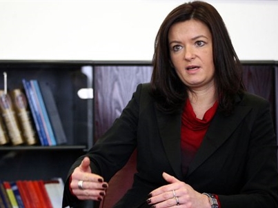 403x30243386fajon_viza