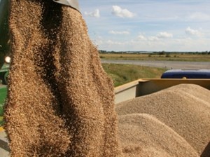 403x30260306Gruri_-_duke_u_korrur