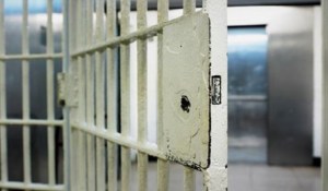 f1_16ekzek111389881851