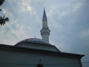 403x302174075992922_3231589486451_187740711_n