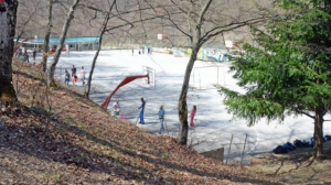 nj-euml-i-plagosur-gjat-euml-nj-euml-p-euml-rleshje-n-euml-g-euml-rmi_hd