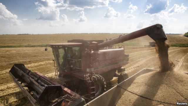 2DD40B5C-321E-4739-9600-FFA308650514_w640_r1_s