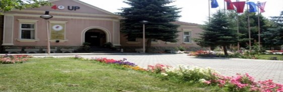 562X31523875_f1_statuti-up1337678575