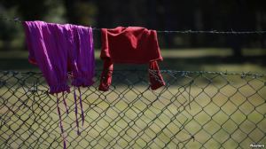 E9FAE1DD-A817-42F8-894F-C4ED880D2A9E_w640_r1_s